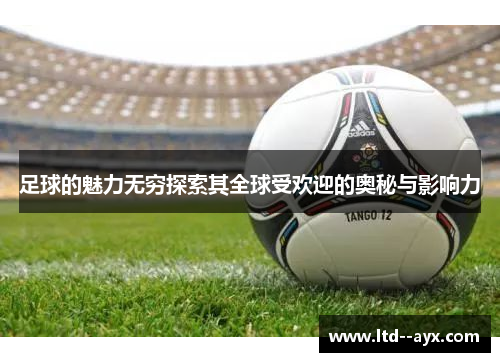 足球的魅力无穷探索其全球受欢迎的奥秘与影响力