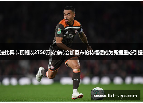 法比奥卡瓦略以2750万英镑转会加盟布伦特福德成为新援重磅引援 法比奥卡瓦略以2750万英镑转会加盟布伦特福德成为新援重磅引援