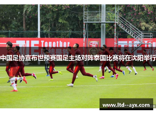 中国足协宣布世预赛国足主场对阵泰国比赛将在沈阳举行 中国足协宣布世预赛国足主场对阵泰国比赛将在沈阳举行