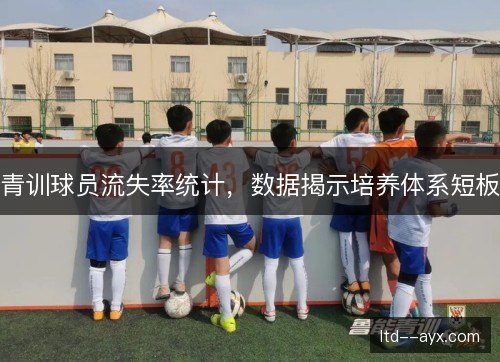 青训球员流失率统计,数据揭示培养体系短板 青训球员流失率统计,数据揭示培养体系短板